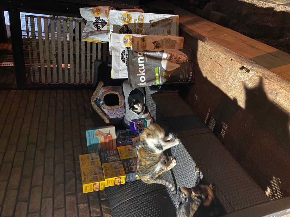 Cat Lives Matter